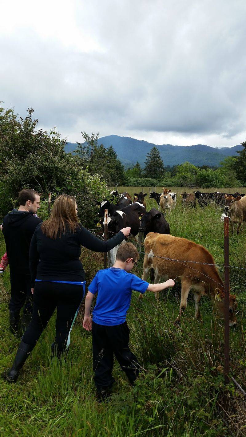The Cows And Horses That Come To Greet You The Cows And Horses That Come To Greet You