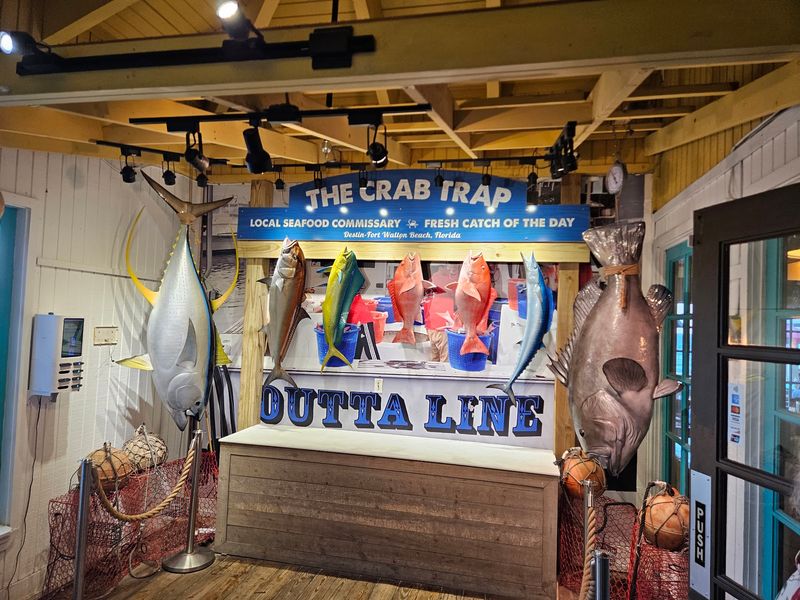 The Crab Trap, Palm Harbor The Crab Trap, Palm Harbor