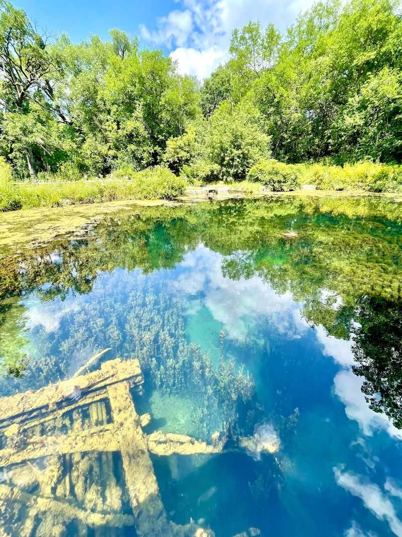 The Crystal-Clear Spring Water That Looks Almost Unreal The Crystal-Clear Spring Water That Looks Almost Unreal