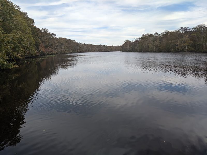 The Dark Water And Cypress-Lined Banks