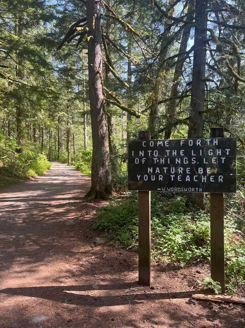 The Discover Pass You Should Not Forget