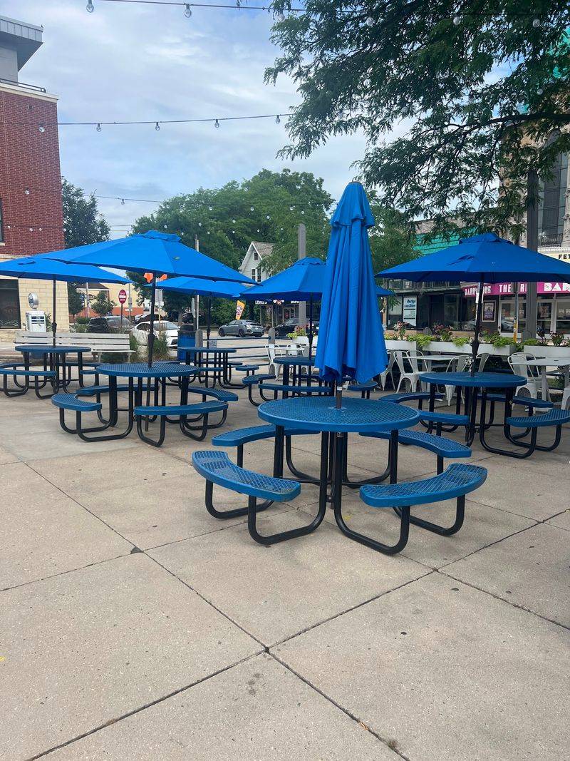 The Dog-Friendly Patio Experience The Dog-Friendly Patio Experience