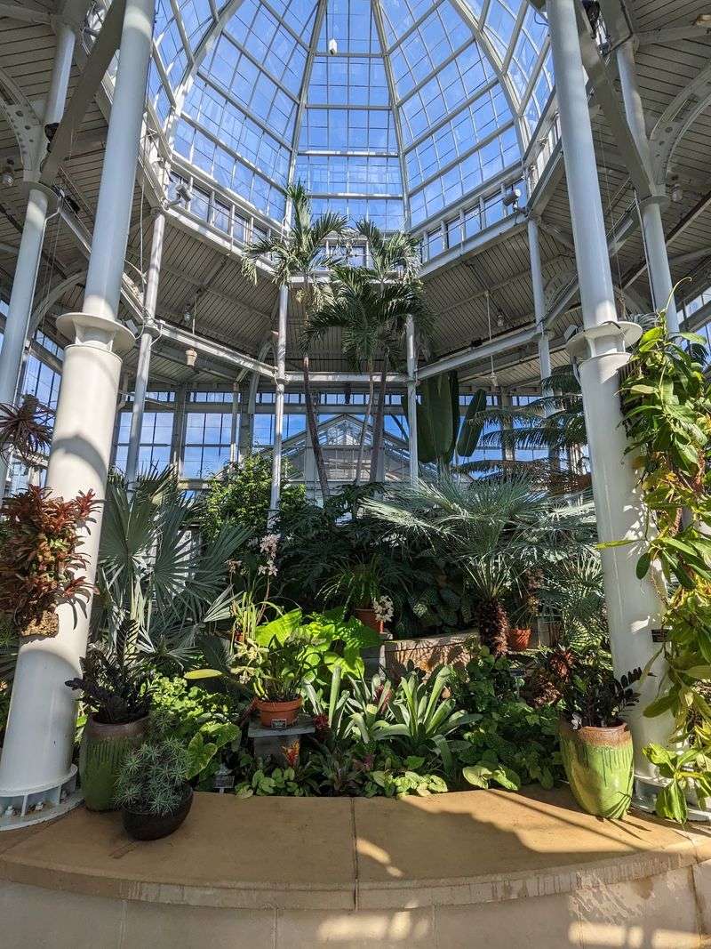 The Domed Conservatory at the Heart