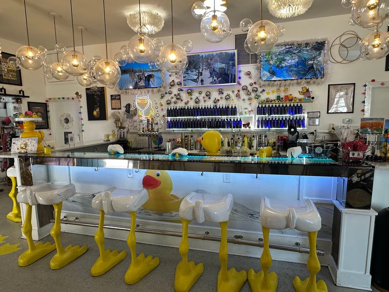 The Duck-Themed Decor That Makes Every Corner Instagrammable