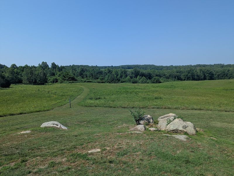 The Eerie Stillness of 370 Acres