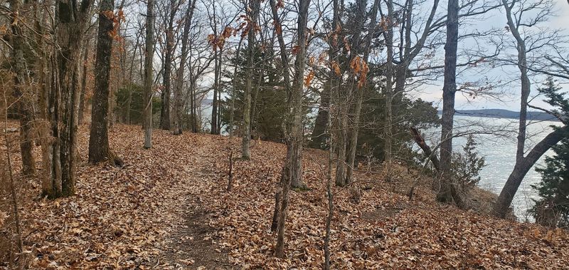The Eight-Mile Lakeview Trail The Eight-Mile Lakeview Trail