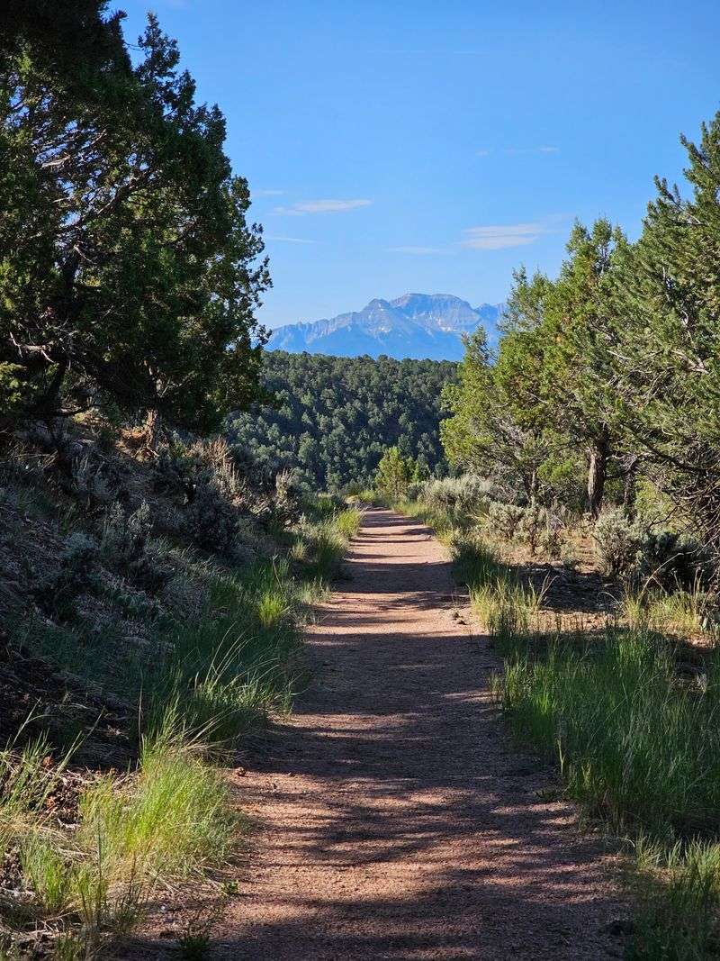 The Enchanted Mesa Trail: A Hike Worth Every Step The Enchanted Mesa Trail: A Hike Worth Every Step