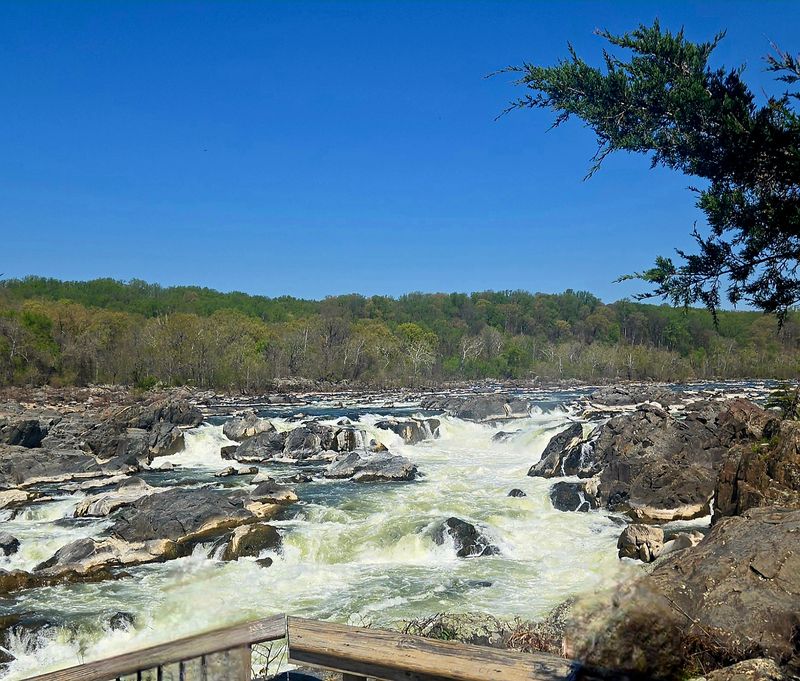 The Falls That Steal the Show