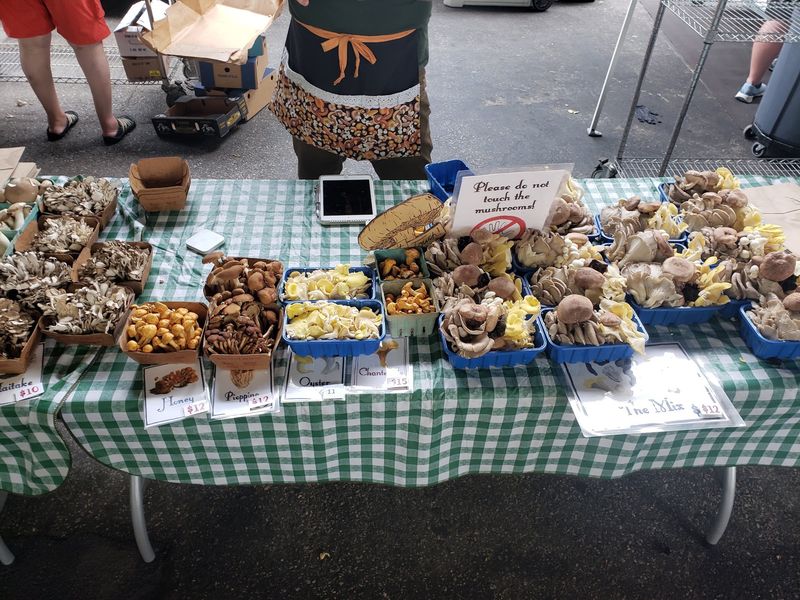 The Famous Mushroom Stand