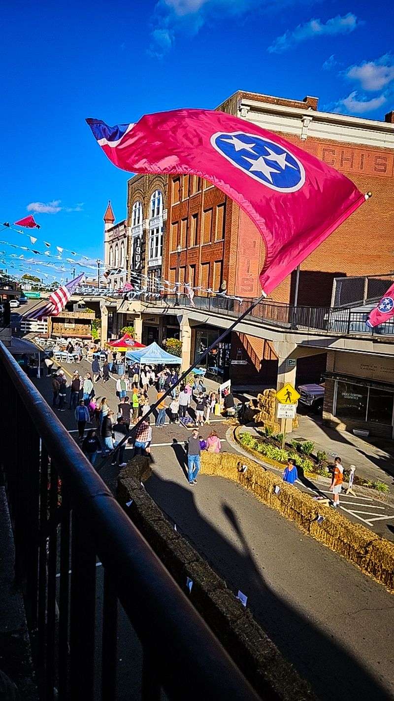 The Famous Overhead Sidewalks