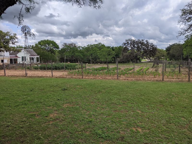 The Farm Garden and Its Jaw-Dropping Produce The Farm Garden and Its Jaw-Dropping Produce
