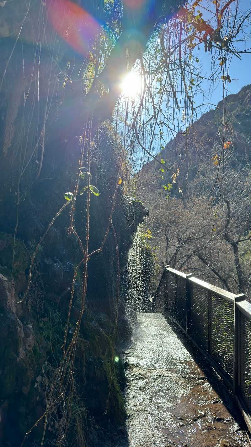 The Forest Around You