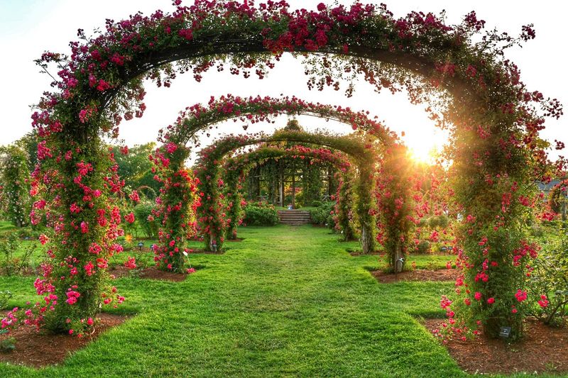 The Garden That Reads Like a Fairy Tale