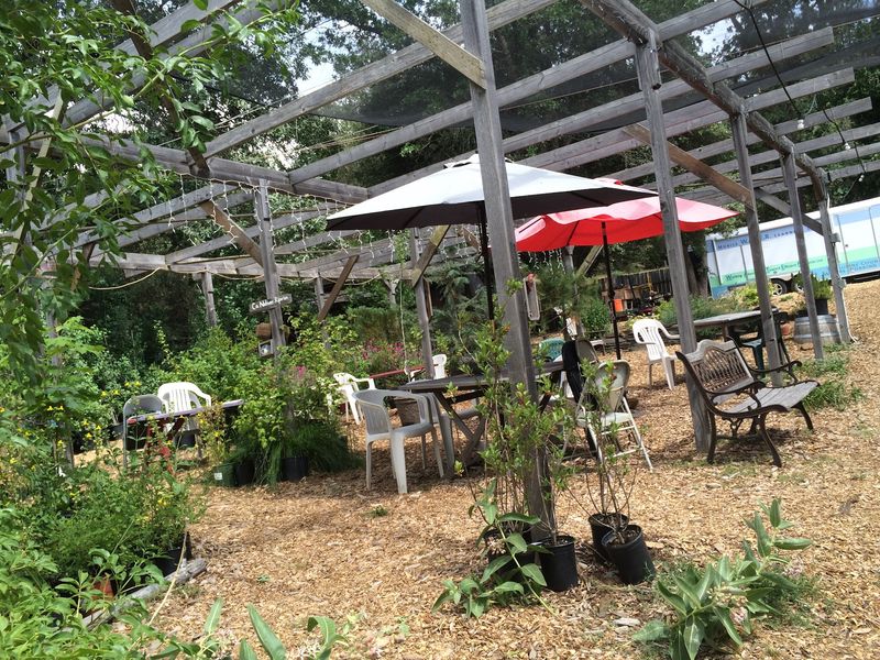 The Garden That Steals the Show