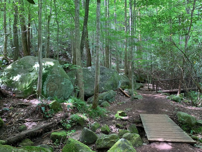 The Gentler Path to Jones Gap Falls The Gentler Path to Jones Gap Falls