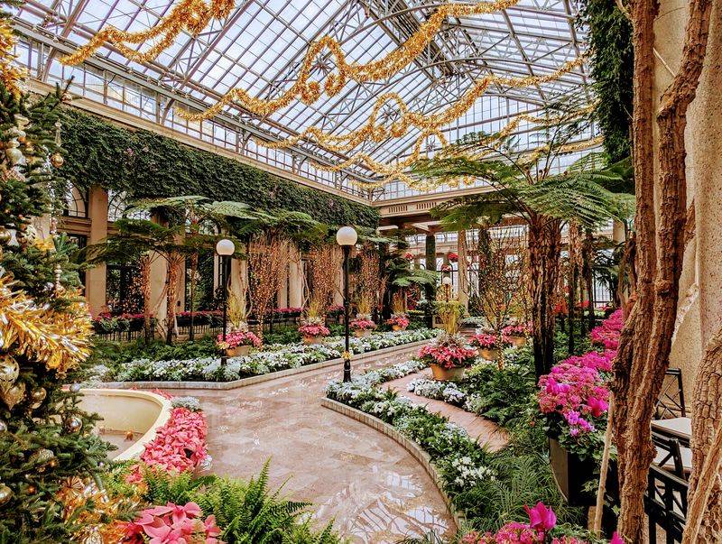 The Grand Conservatory Under Glass