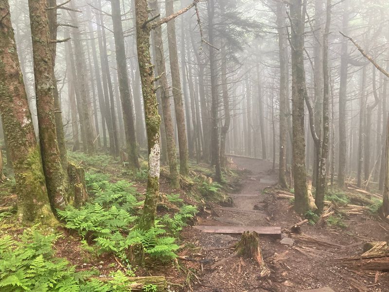 The Grueling Climb From the Campground