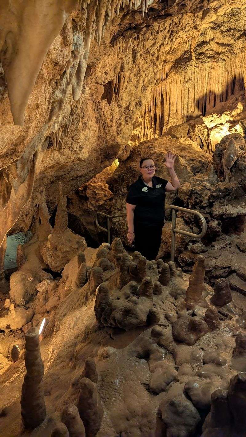 The Guided Tour That Keeps Everyone Laughing