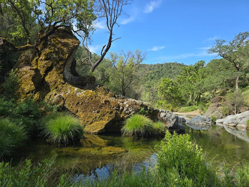 The Hidden Swimming Hole
