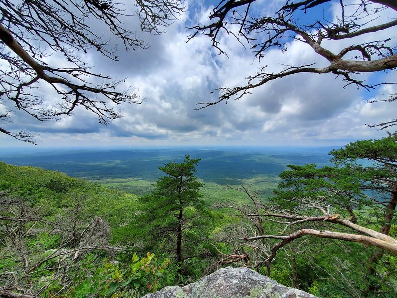 The Highest Point In Alabama Has An Address