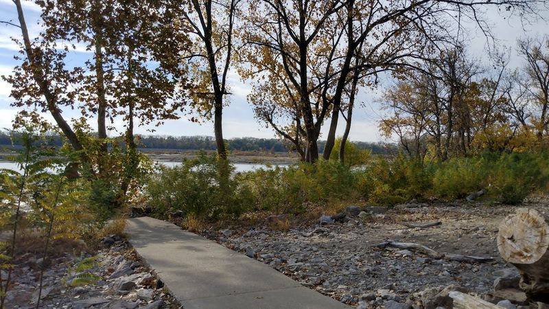 The Hiking Trail Through the Wooded Area