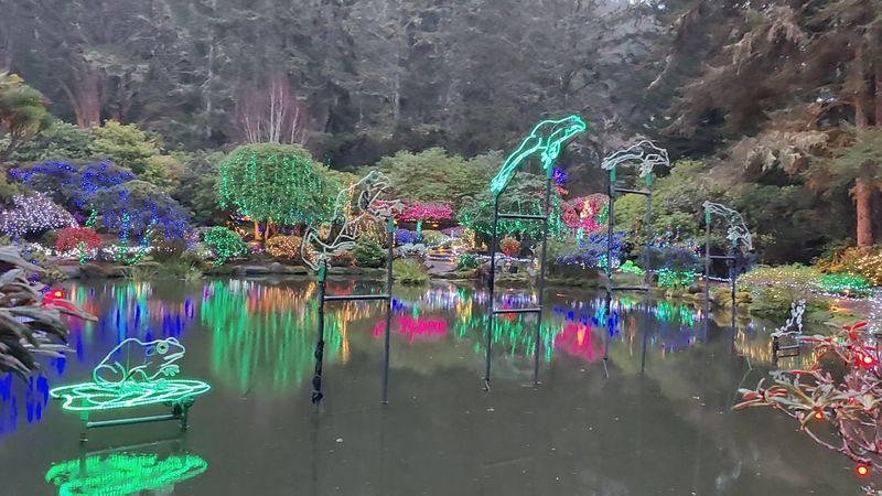 The Holiday Lights That Turn the Garden Magical The Holiday Lights That Turn the Garden Magical