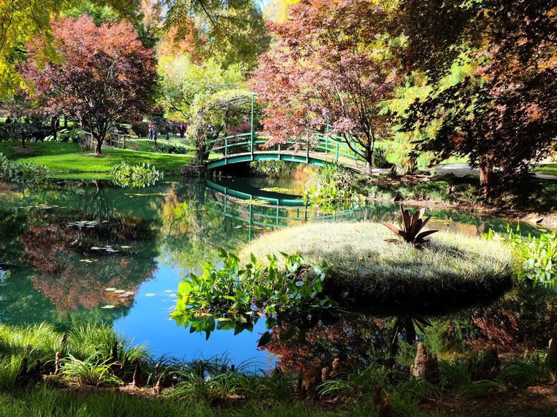 The Japanese Garden That Steals The Show The Japanese Garden That Steals The Show