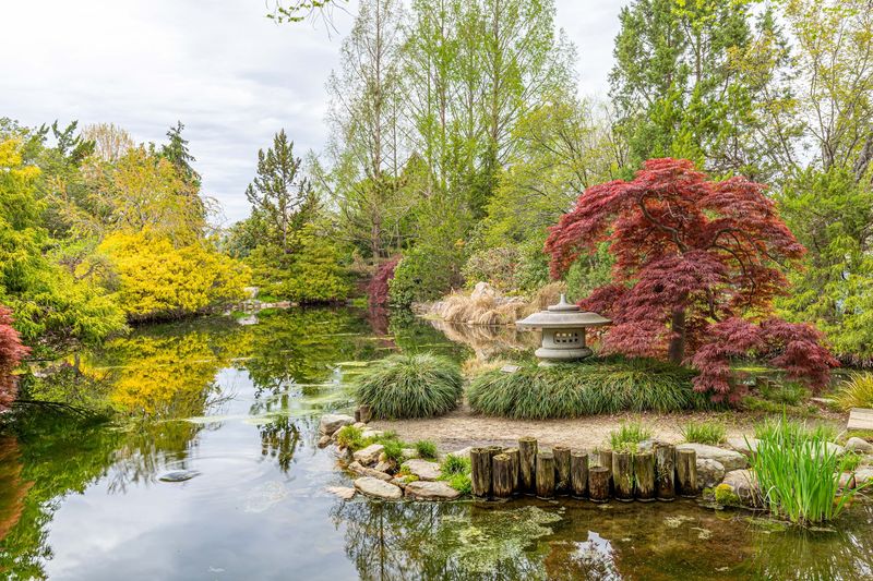 The Japanese Garden's Quiet Corner