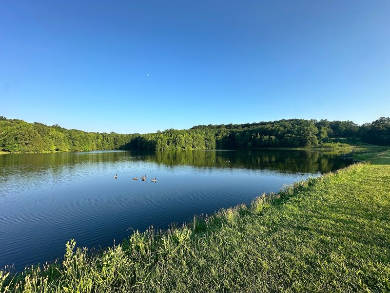 The Lake And A Line In The Water