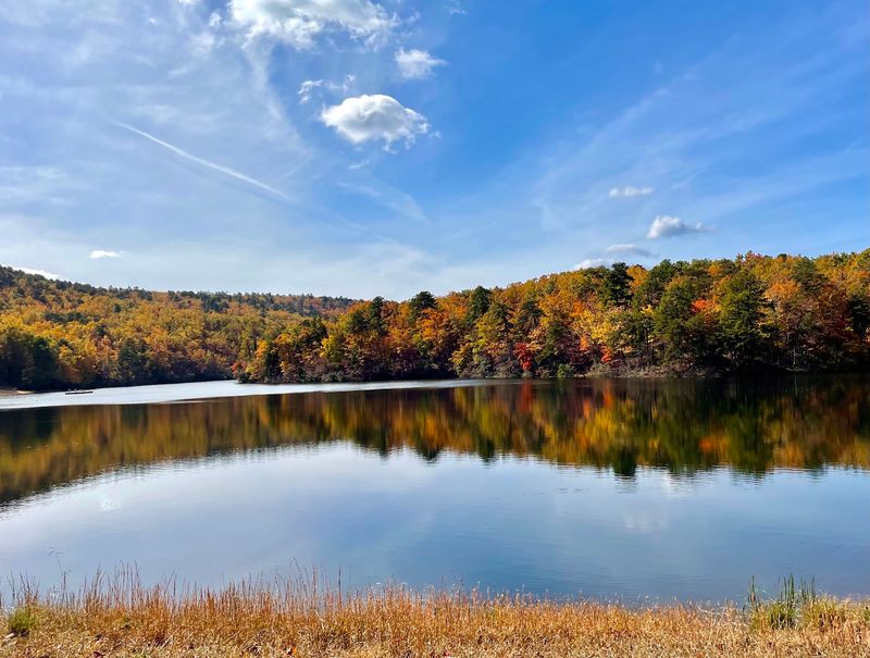 The Lake, Fishing, and Summer Fun