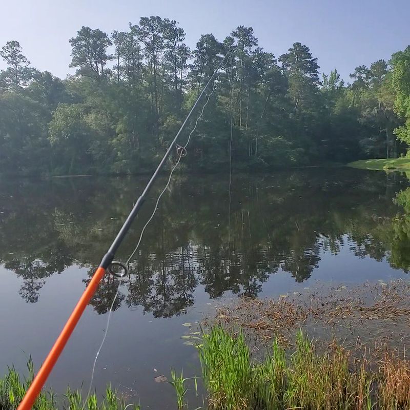The Lake, Paddle Boats, and Fishing