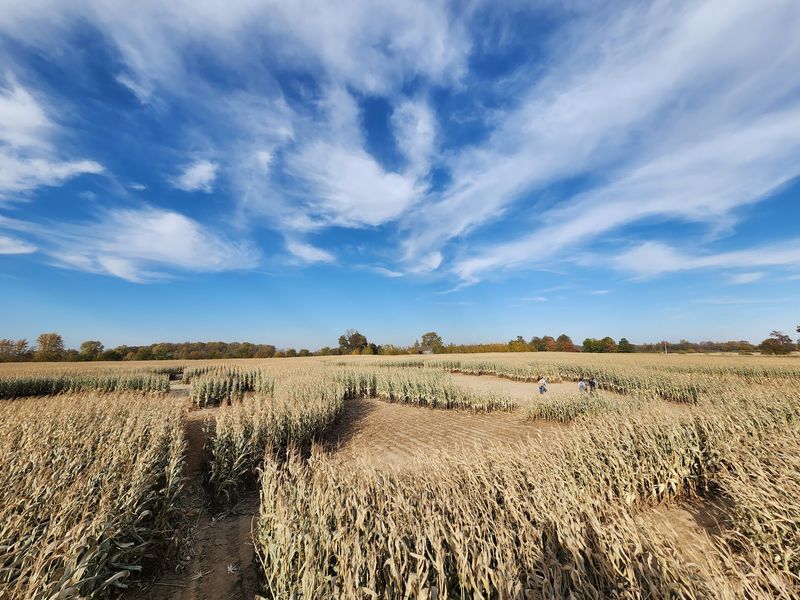The Largest Corn Maze In Indiana