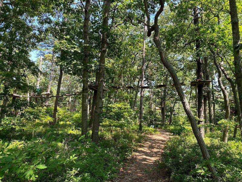 The Location Inside the Cape May Zoo Area The Location Inside the Cape May Zoo Area