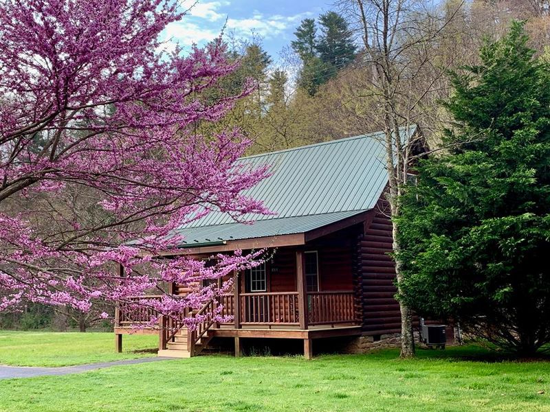 The Log Cabin, Galax The Log Cabin, Galax