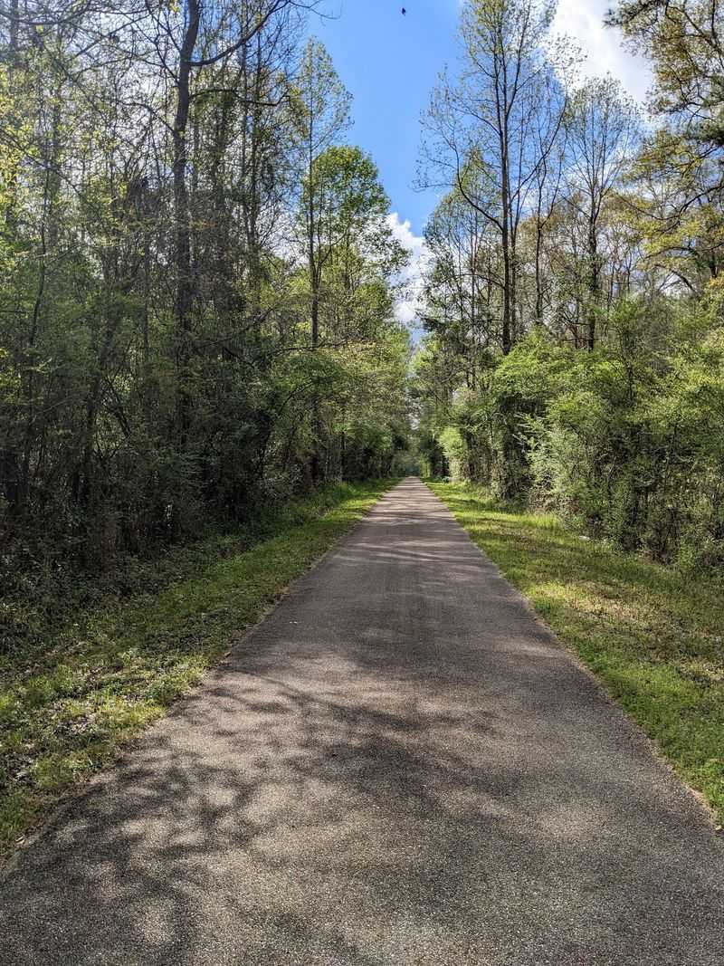 The Longleaf Trace Trail, Hattiesburg, Mississippi
