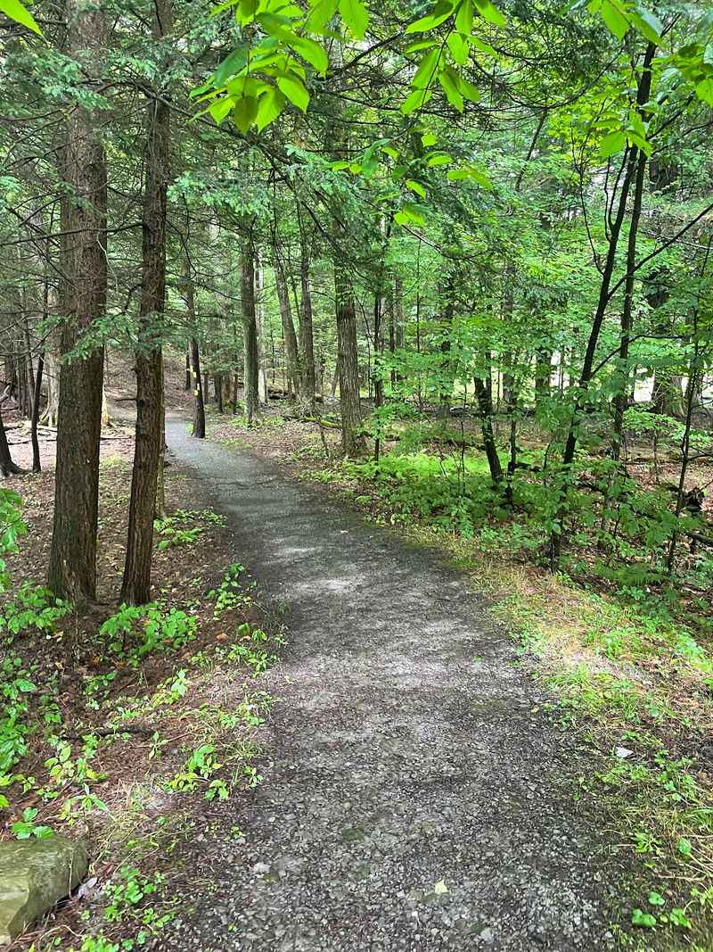 The Loop Trail That Circles It All