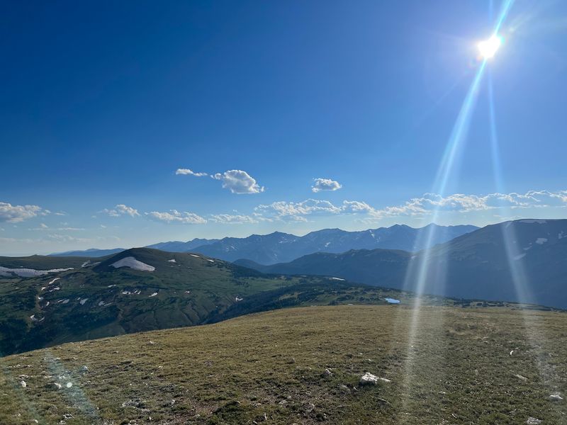 The Magical Shift From Forest to Tundra