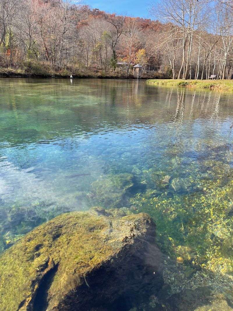 The Massive Spring That Feeds Everything