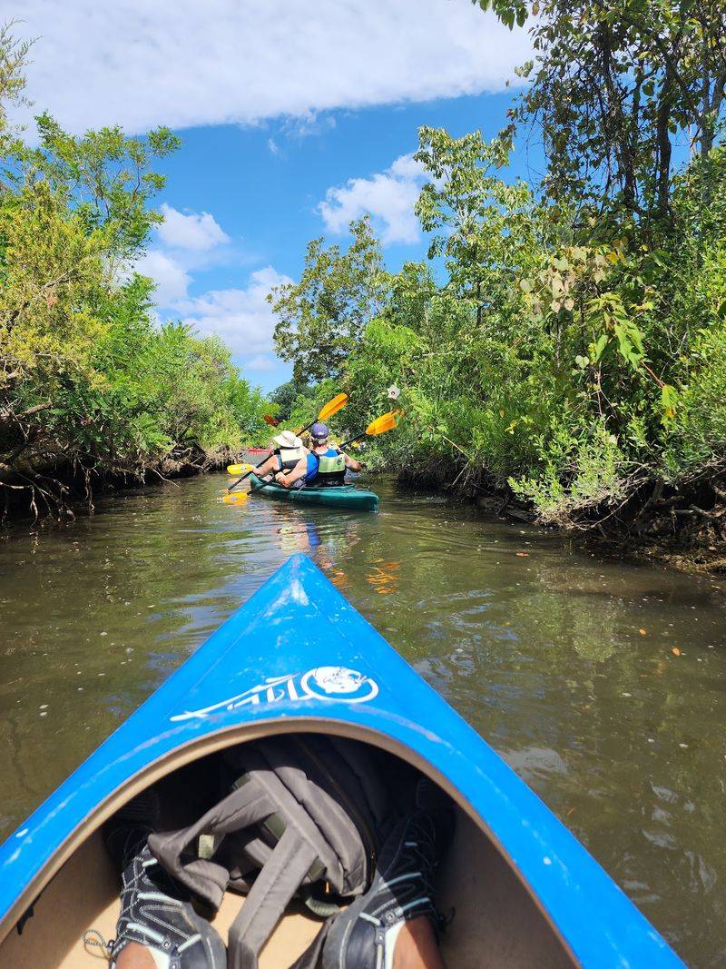 The Maze Of Boat Roads And Paddling Trails