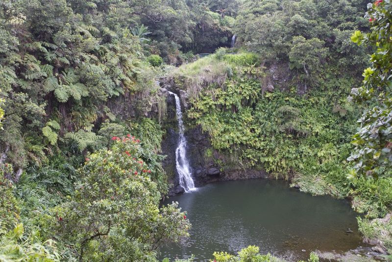 The Meaning Behind The Name Waimea The Meaning Behind The Name Waimea