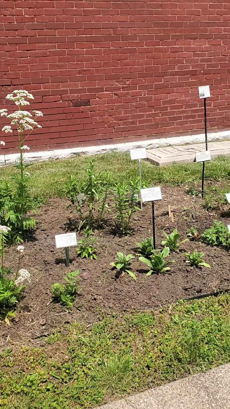 The Medicinal Herb Garden Outside The Medicinal Herb Garden Outside