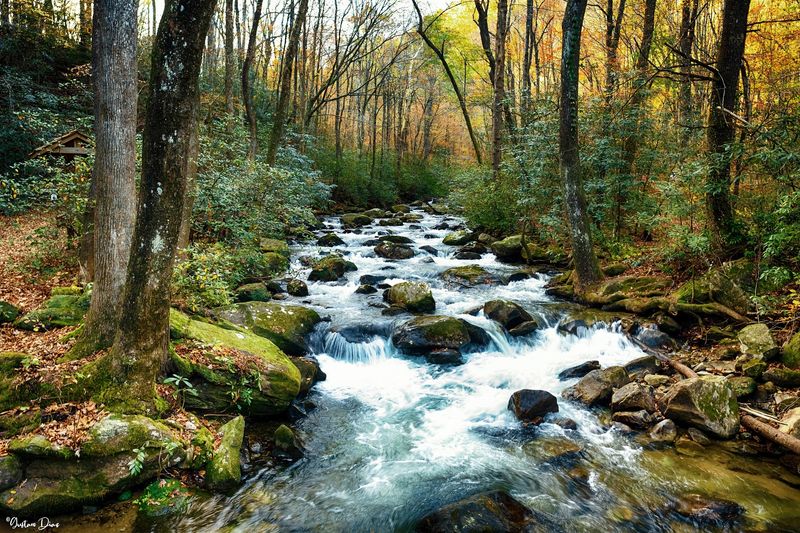 The Middle Saluda River Running Through It The Middle Saluda River Running Through It
