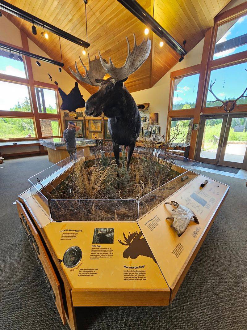 The Moose Visitor Center The Moose Visitor Center