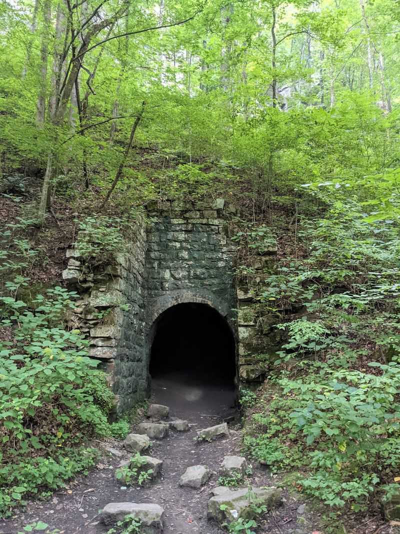 The Mysterious Mine Tunnel
