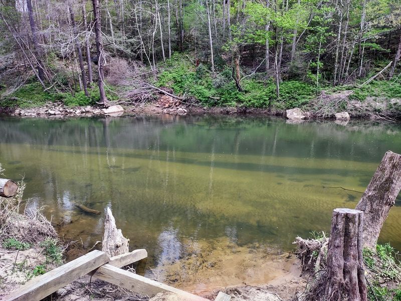 The Natural Setting That Sparked a Colony