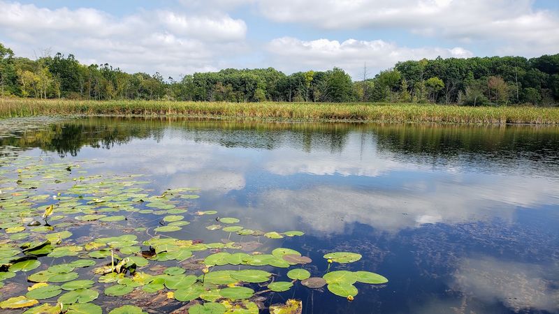 The Nature Center And A Natural Spring