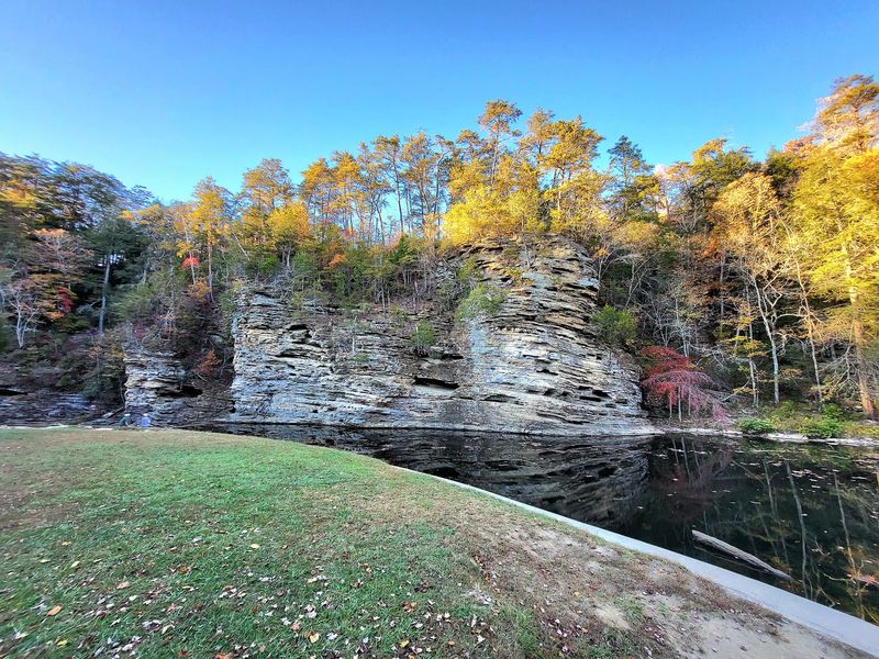 The Nature Center And Its Backstory