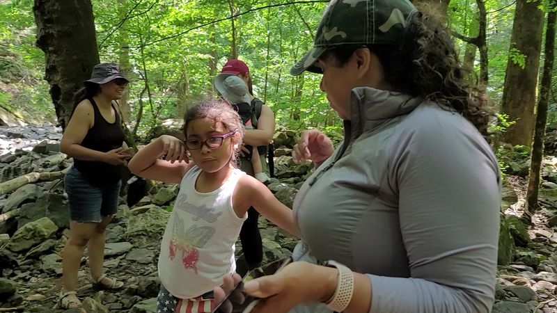 The Nature Center, Museum, And Gift Shops
