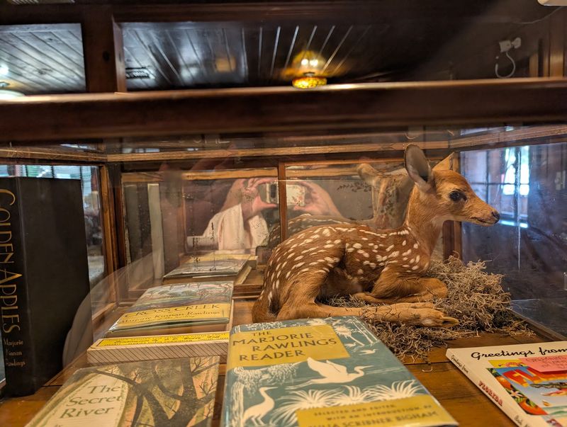 The Novel Behind the Name
