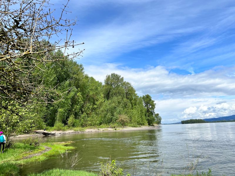 The Oak Island Trail: A Walk Through Living Scenery